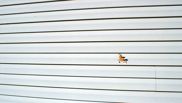 Best Residential Vinyl Siding Installation  in Anacortes, WA